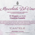 Degustazione Cantina Cantele